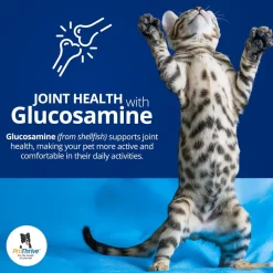 ProThrive Spunky Probiotics (Digestive Enzymes & Joint Support Supplement) for Dogs & Cats
