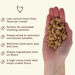 Pupford Training Treat 10 Snack - Perfect For Halloween