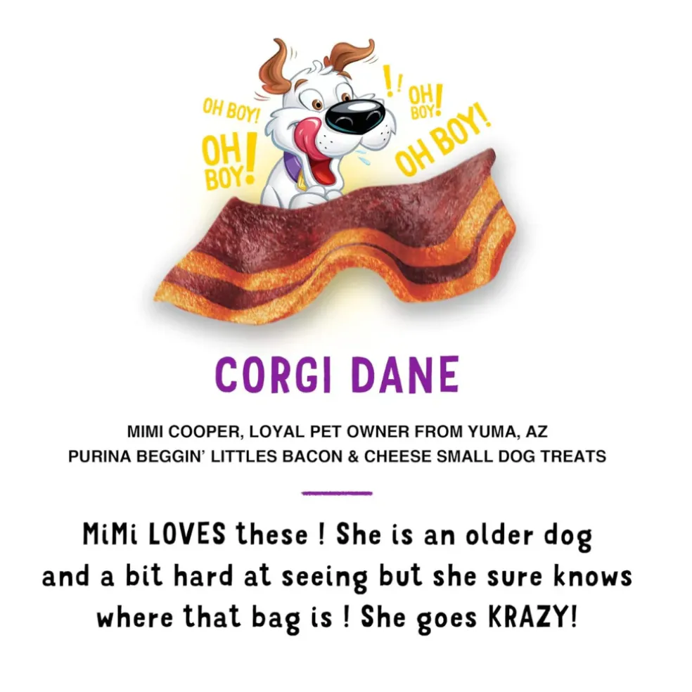 Purina Beggin' Little Bacon & Cheese Flavor Dog Treats (6 oz)