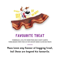 Purina Beggin' Thick Cut Hickory Smoke Flavor Dog Treats