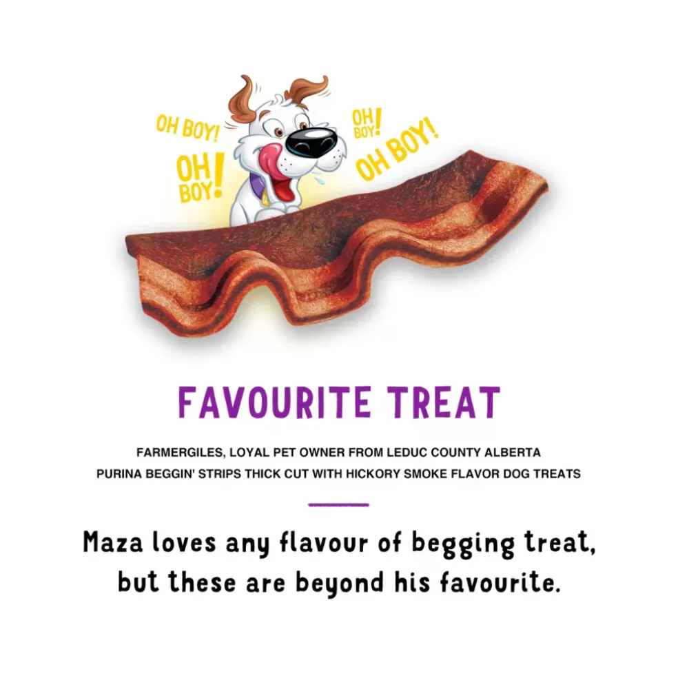 Purina Beggin' Thick Cut Hickory Smoke Flavor Dog Treats