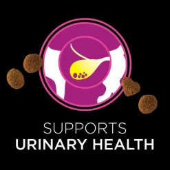 Purina Pro Plan Veterinary Diets Urinary Health Treat for Cats