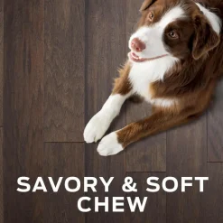 Purina Pro Plan Veterinary Diets Digestive Health Bites Soft & Chewy Dog Treats
