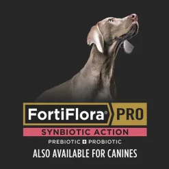 Purina Pro Plan Veterinary Supplements FortiFlora PRO Synbiotic Action Probiotic Powder for Dogs