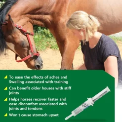 Ramard Total Equine Relief Paste (15 cc)