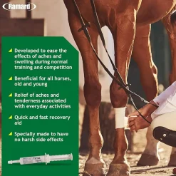 Ramard Total Equine Relief Paste (15 cc)