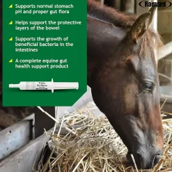 Ramard Total Gut Health Supplement Paste For Horse (30 cc)