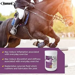 Ramard Total Joint Care Performance Supplements for Horses