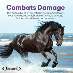 Ramard Total Lactic Care Horse Supplement (25g)