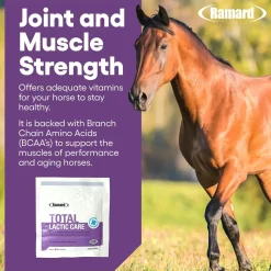 Ramard Total Lactic Care Horse Supplement (25g)