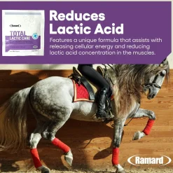 Ramard Total Lactic Care Horse Supplement (25g)