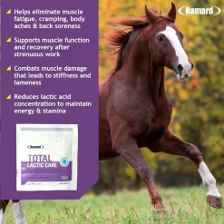 Ramard Total Lactic Care Horse Supplement (25g)
