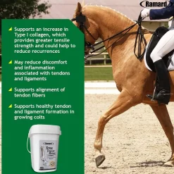 Ramard Total Tendon Repair Powder Horse Supplement (1.12 lb, 30 Day Supply)