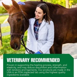 Ramard Total Tendon Repair Powder Horse Supplement (1.12 lb, 30 Day Supply)