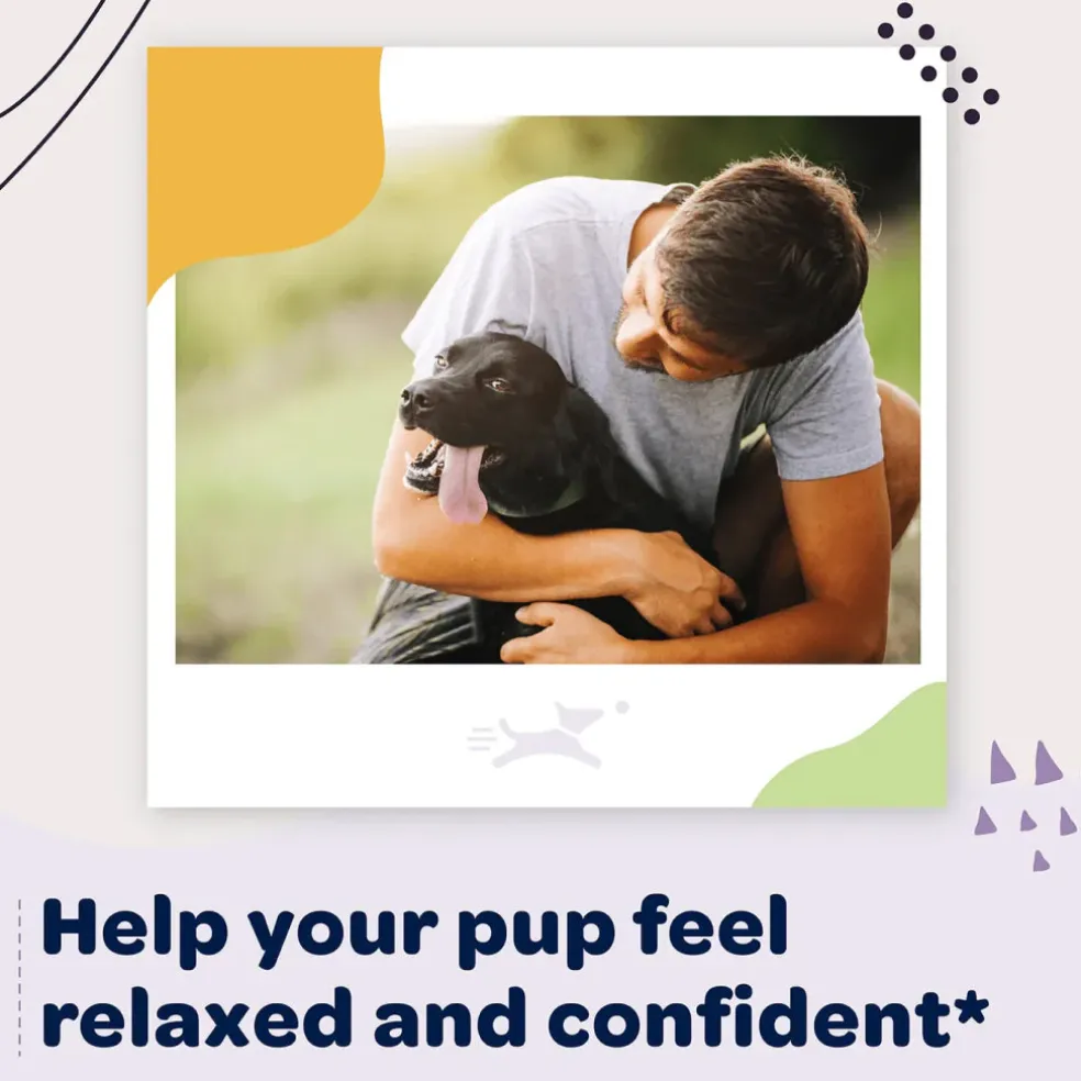 Ready Pet Go Calming & Relaxing Support for Dogs (90 soft chews)