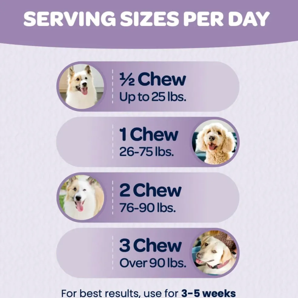 Ready Pet Go Calming & Relaxing Support for Dogs (90 soft chews)