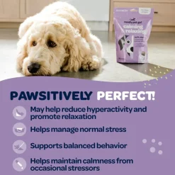 Ready Pet Go Calming & Relaxing Support for Dogs (90 soft chews)