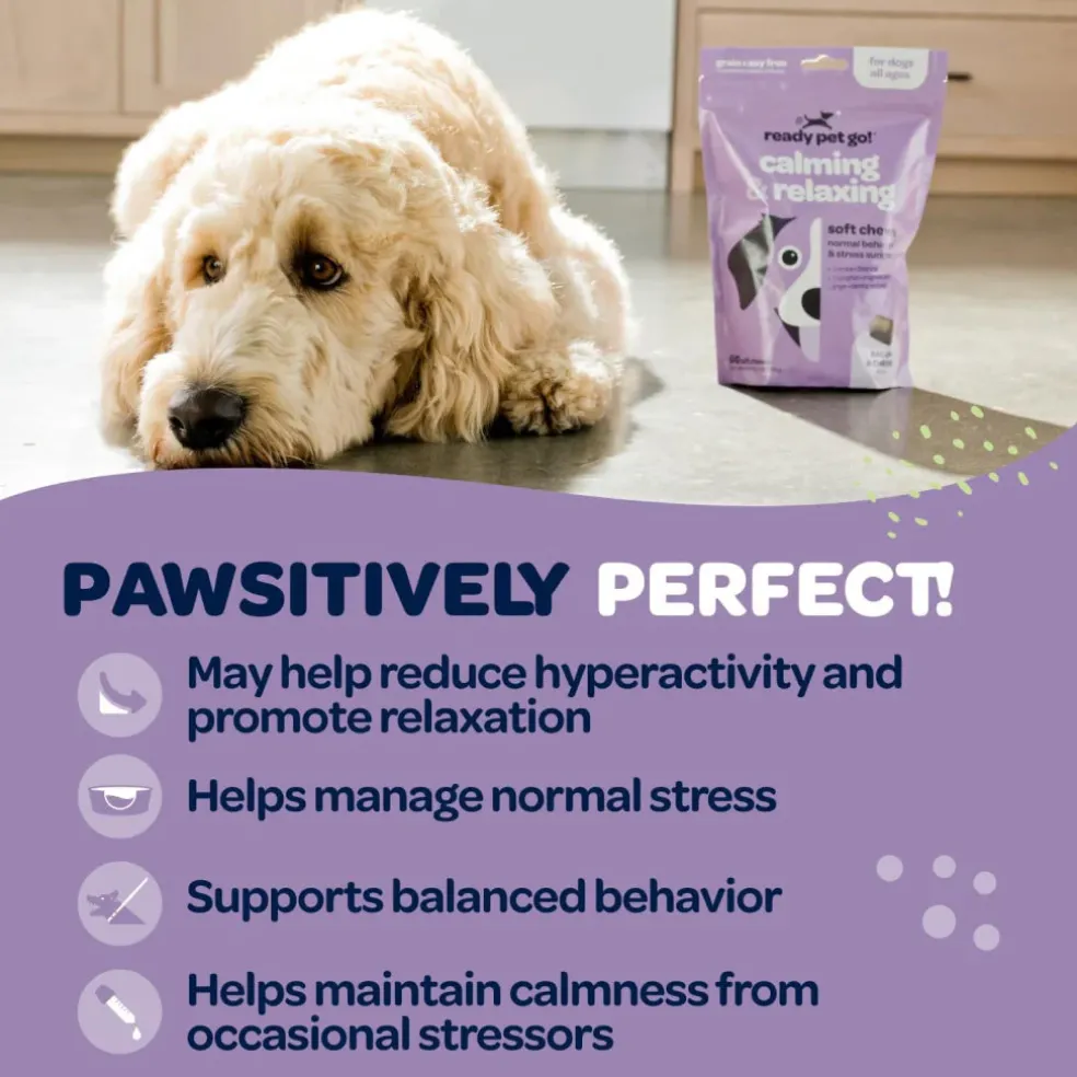 Ready Pet Go Calming & Relaxing Support for Dogs (90 soft chews)