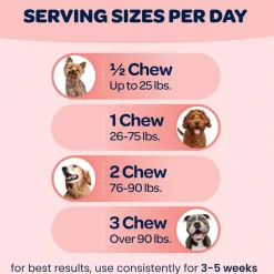 Ready Pet Go Hip & Joint Mobility Support for Dogs (90 soft chews)