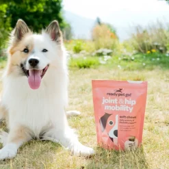 Ready Pet Go Hip & Joint Mobility Support for Dogs (90 soft chews)