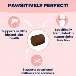 Ready Pet Go Hip & Joint Mobility Support for Dogs (90 soft chews)