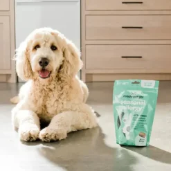 Ready Pet Go Seasonal Allergy Support for Dogs (60 soft chews)