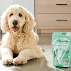 Ready Pet Go Seasonal Allergy Support for Dogs (60 soft chews)