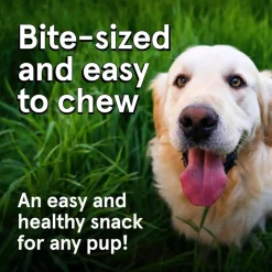 Real Meat All Natural Chicken & Venison Jerky Treats for Dogs