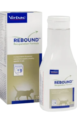 Rebound Recuperation Formula for Cats