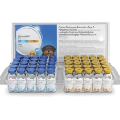 Recombitek C7 (rDAP-LCGIP) for Dogs, 1 dose x 25