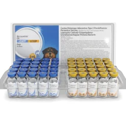Recombitek C8 (rDAPP-LCGIP) for Dogs, 1 dose x 25