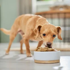 Redbarn Grain-Free Chicken Recipe Rolled Food For Dogs (3 lb)