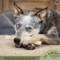 Redbarn Half Elk Antler Dog Chew