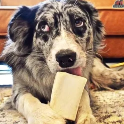 Redbarn Peanut Butter Filled Bone Dog Chew
