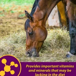 Red Cell Pellets Vitamin-Iron-Mineral Supplement for Horses (4 lb)