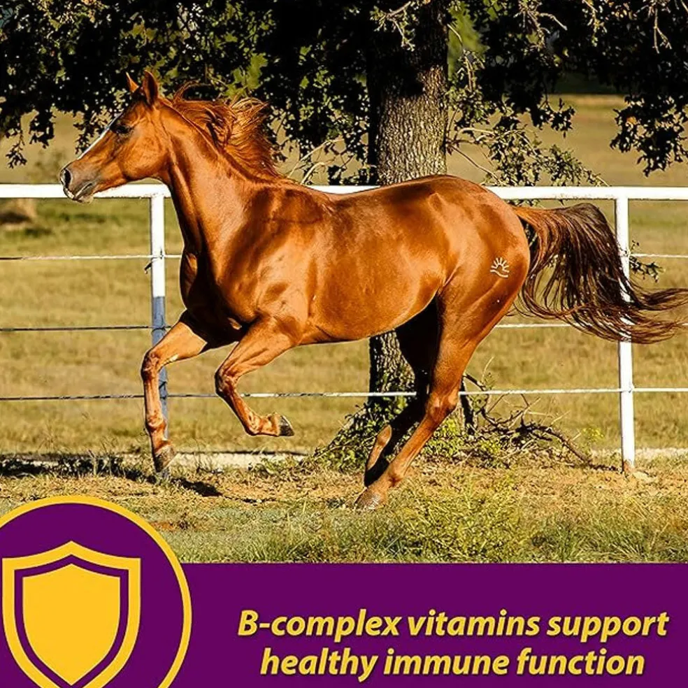 Red Cell Vitamin-Iron-Mineral Supplement for Horses (Gallon)