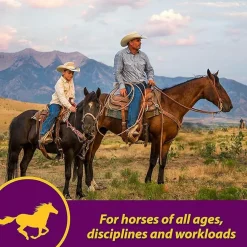 Red Cell Vitamin-Iron-Mineral Supplement for Horses (Gallon)