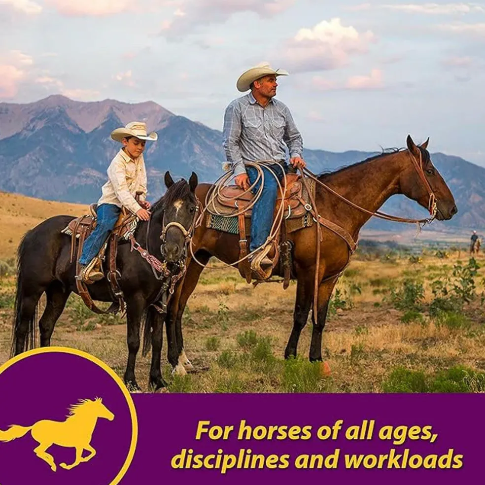 Red Cell Vitamin-Iron-Mineral Supplement for Horses (Gallon)