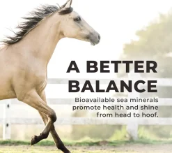 Redmond Daily Red Fortified Loose Mineral Salt for Horses (5 lb)