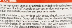 Renal K+ Powder Kidney Supplement (Potassium Gluconate) for Cats & Dogs (100g)