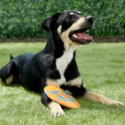 Ruff Dawg Durable Dog Toy, Assorted Colors