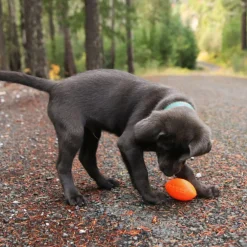 Ruff Dawg Football Ultra Durable Dog Toy, Assorted Colors