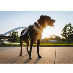 Ruffwear Front Range Dog Collar