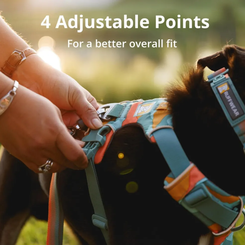 Ruffwear Front Range Dog Harness