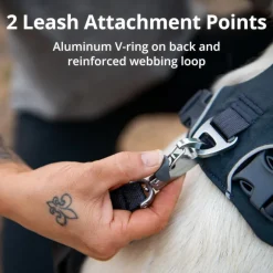 Ruffwear Front Range Dog Harness