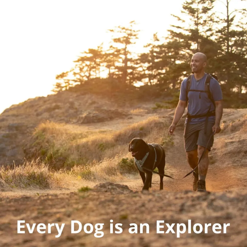 Ruffwear Front Range Dog Harness