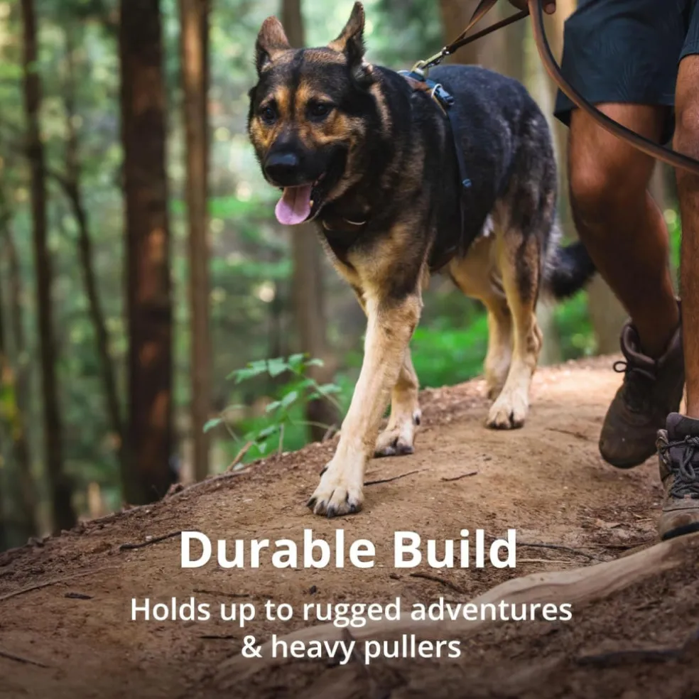 Ruffwear Front Range Dog Harness