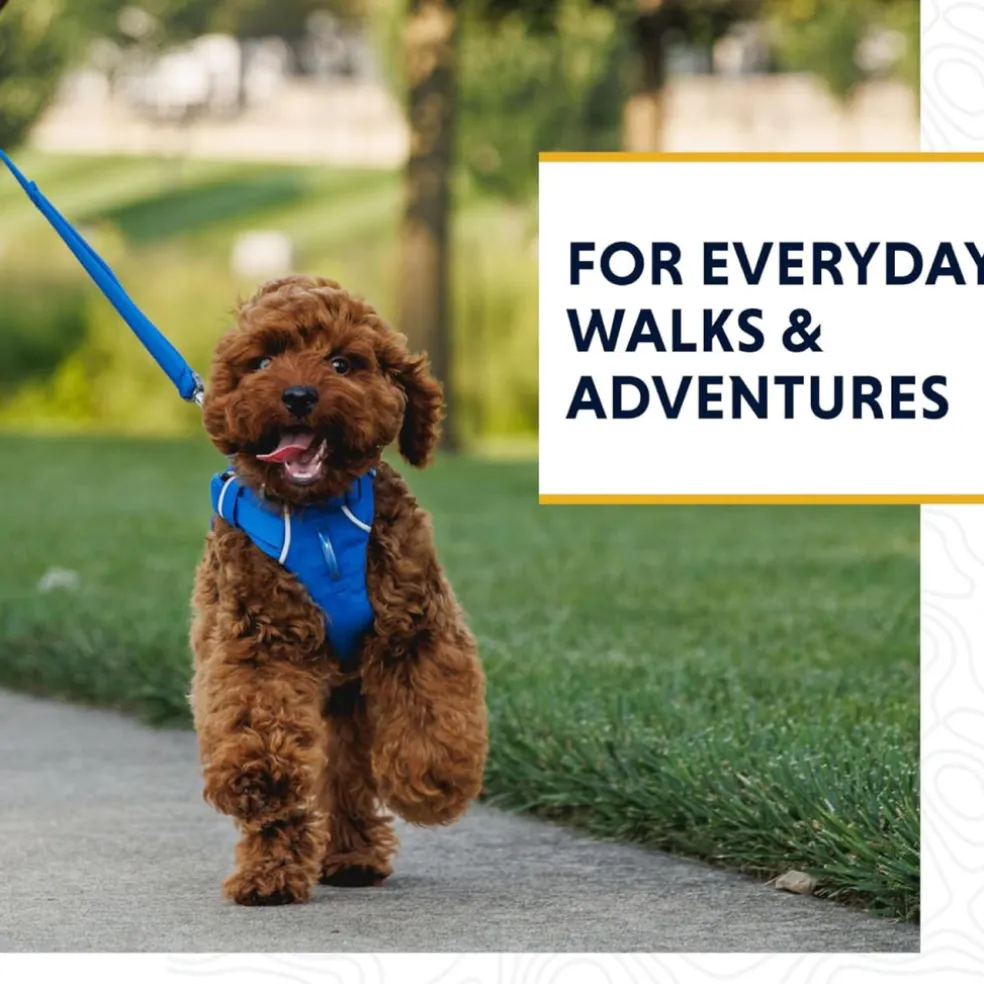 Ruffwear Front Range Dog Leash