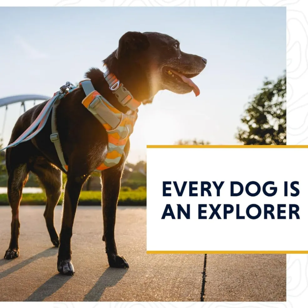 Ruffwear Front Range Dog Leash