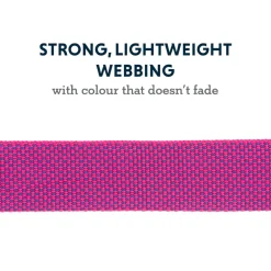 Ruffwear Hi & Light Dog Collar